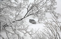 <주말에 가볼 만한 곳: 태기산 드라이브>