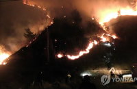 낙산사 불, 해수관음상 인근 야산 산불