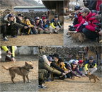 '1박 2일' 유호진 PD, 개 조련사 등극?