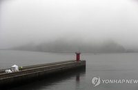<세월호참사> 안갯속 팽목항