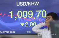 환율 장중 1,010원선 붕괴에 당국 '구두개입'
