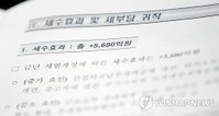 세법개정안, 대주주에 25% 배당세율…재벌특혜 논란
