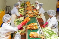 김치 수출, 2년째 부진의 늪…일본시장에서 '고전'