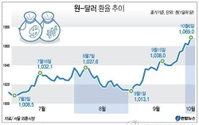원·달러 환율 '급등'…장중 1,070원 돌파