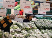 24개월째 1%대 물가상승…디플레 우려 ‘확산’