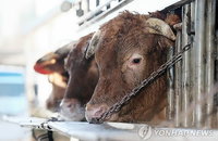 '추워요 그만 뿌려요'