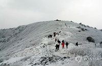 '겨울 산' 태백산의 눈꽃