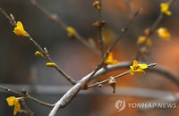 미세먼지 가득 낀 입춘