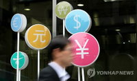 한은, 한국을 환율경쟁에 동참시킬것인가?