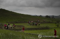 UN 식량농업기구, 북한에 427달러 지원 예정