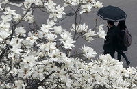 [오늘의 날씨] 어두웠던 아침, 점심즈음부턴 상당한 양의 비로 돌변