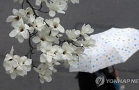 [오늘의 날씨] 날씨는 흐리고 비도 내리지만,  촉촉한 식목일이 되길