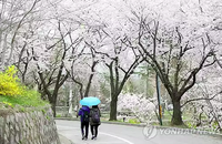[오늘의 날씨] 아침에 비 안온다고 우산 두고 나오지 마세요… 전국에 잇따라 비