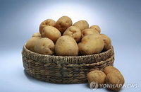 농심과 해태, 허니버터칩과 수미칩 전쟁에 국산 감자 가격 두 배 넘게 올라
