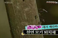 스펀지에 소개된 천연 모기 퇴치제 만드는 법, 설탕과 이스트만 있으면 준비 끝. 건강 위험 없어요