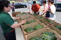 수박 가격 개당 1만 4500원으로 폭등.. 참외는 가격 하락할 전망