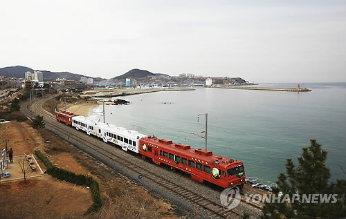 메르스 확산에도 불구하고 25세 이하 젊은층이 이용하는 철도 자유여행패스 '내일로 티켓'은 판매실적이 크게 늘고 있다. 사진은 동해안을 운행하는 바다열차 모습. 