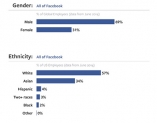 페이스북 임직원 성별 및 인종  다양성 분포도