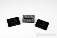 삼성전자가 세계 최초로 '3비트(bit) 3차원 V낸드플래시 메모리' 양산을 본격 시작했다.