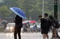 [내일 토요일 날씨] 대기 불안정으로 소나기 내릴 확률 높아.. 돌풍 심하니 시설물, 안전사고 관리해야