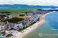 2015년 전국 주요 해수욕장 물가 종합
