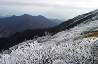 10대, 20대는 제주도 한라산, 30~40대는 설악산이 가장 선호하는 국립공원... 여름 산행으로 늦더위 피해보자