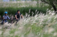 백로, 고된 여름을 지낸 뒤 찾아오는 짧은 휴식