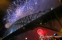 서울 불꽃놀이 축제보러 중앙대 옥상까지 올라가 봤다!.. 숨겨진 명당 모음