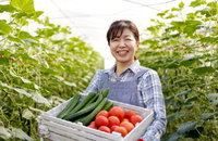 영농벤처 육성 크라우드 펀딩 아카데미 첫 개설