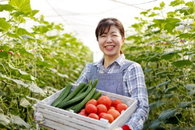 영농벤처 육성 크라우드 펀딩 아카데미 첫 개설