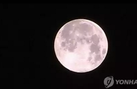 블랙 크리스마스 괴담?..하지만 현실은 더욱 소름끼친다