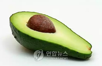 아보카도 열량 고려해서 건강하게 먹으려면?.. 노화방지 영양소 놓칠 수 없어