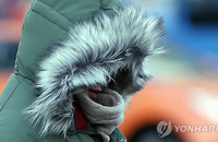 북극한파 원인?...제트 기류가 엘리뇨까지 기죽였다