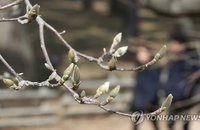 봄 날씨 느끼세요…낮 최고 10∼18도
