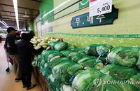 배추·무·대파·양파…언제까지 이렇게 비쌀까?