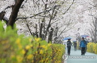 [날씨] 투표소 갈 때 우산 챙기세요…오후 비 그치지만 황사 주의