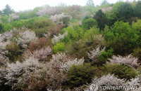 [날씨] 전국 대체로 맑은 날씨 가운데 오후에 비