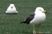 [날씨] 낮부터 맑음… 일부 지역에 강한 바람 예상