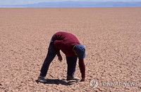 엘니뇨로 동남아 농사 망쳤다… 쌀·팜유 급감↓