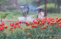[날씨] 전국 흐린 날씨… 밤에 비 그친다