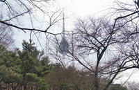 [시승기] 아우디 'A6 50 TFSI 콰트로',  "놀라운 6기통 슈퍼차저 엔진"