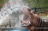 [날씨] 무더운 날씨.. 늦은 오후 곳곳에 소나기