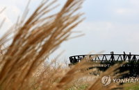 전국 흐리고 선선, 남부·제주 비