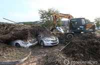 태풍 피해 본 차량·선박 바꿀 때 취득세 면제