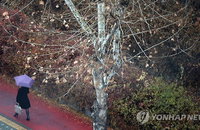 [내일날씨] 전국 구름 많다 흐려지면서 비
