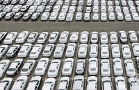 디젤게이트에 빠져버린 디젤... 미운오리