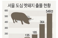 늘어나는 멧돼지에 고심하는 서울시...대처법은?
