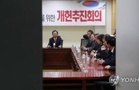 새해 첫날 '개헌특위' 뜬다…조기대선때 '동력' 유지될까
