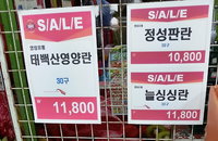 슈퍼마켓 물량확보 어려운 계란... 한판에 1만5천원까지 ↑↑