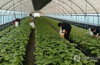 보험료 지원에 국민연금 가입 농어민 증가…40만 육박